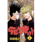 『今日から俺は!!』の紹介 西森　博之　三橋・伊藤の不滅の名コンビ　学園ツッパリギャグ漫画